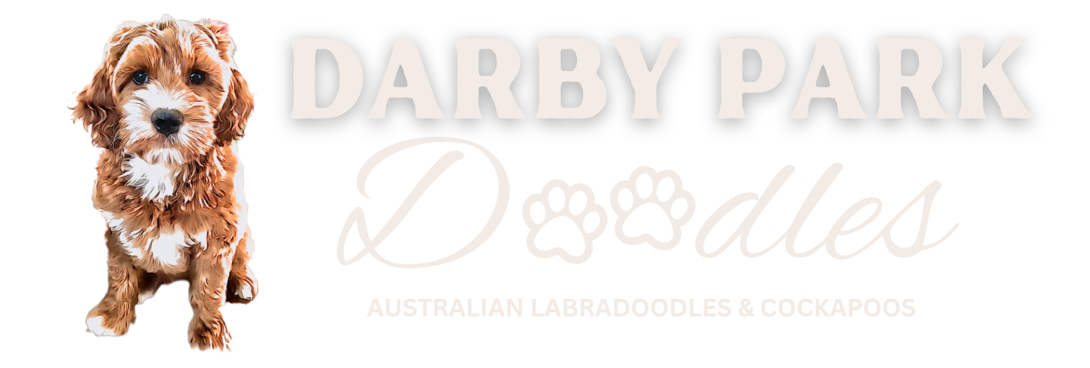 Darby Park Doodles